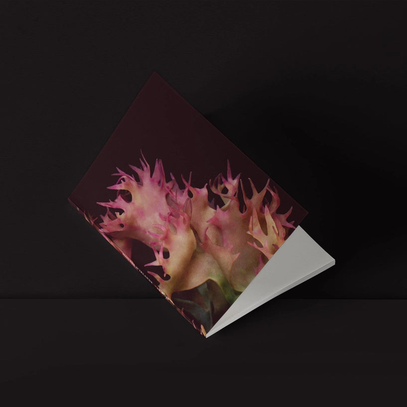 Mini-Carnet / Série Irish Moss No.1 — La Rose