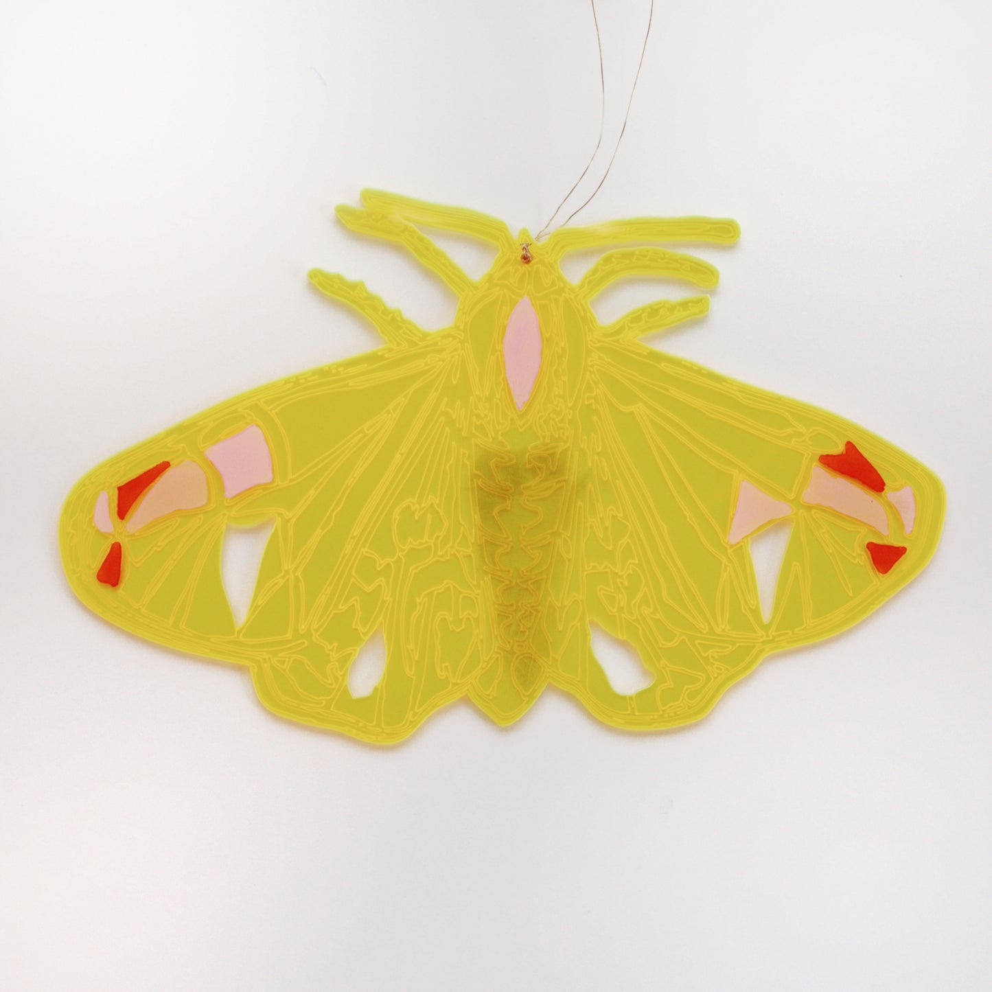Jennifer Macklem | Trajectoires de vol