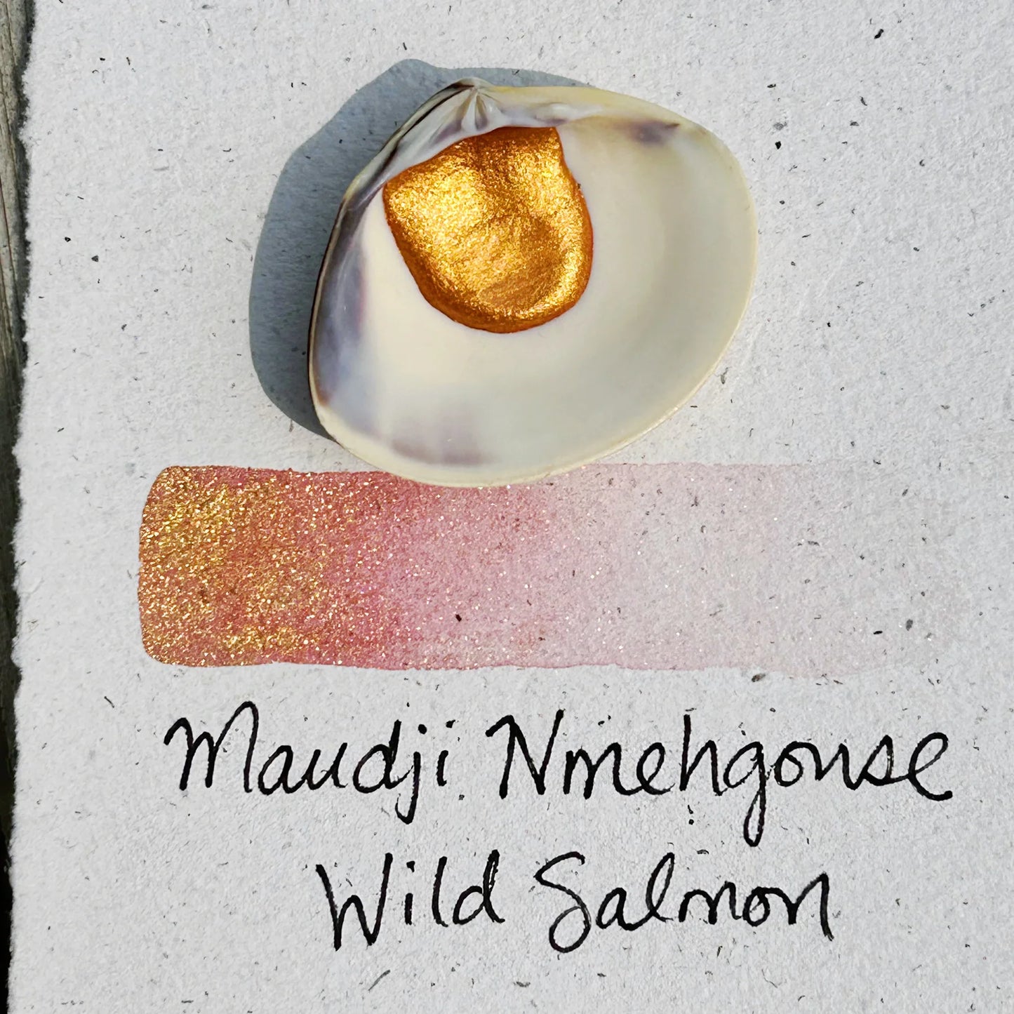 Beam Paints - Shell Paints