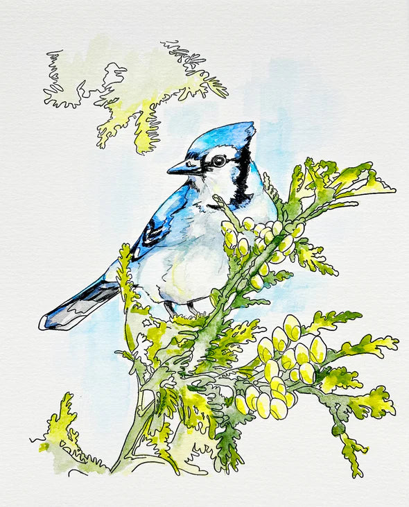 Beam Paints - Paintables