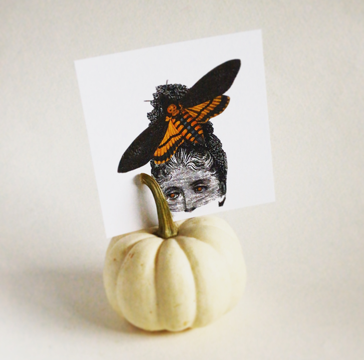 Moth Widow Postcard
