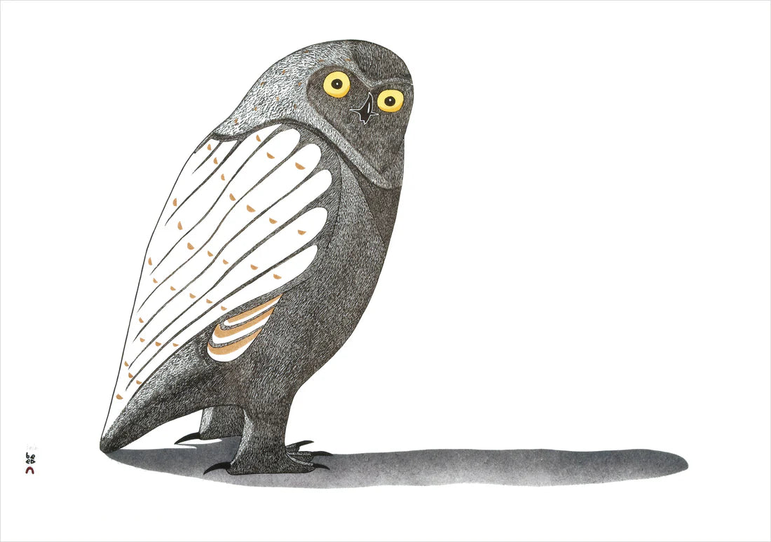 Awls Inuit Owls: Inuit Art from Kinngait Boxed Notecard Assortment – boutique OAG Shop