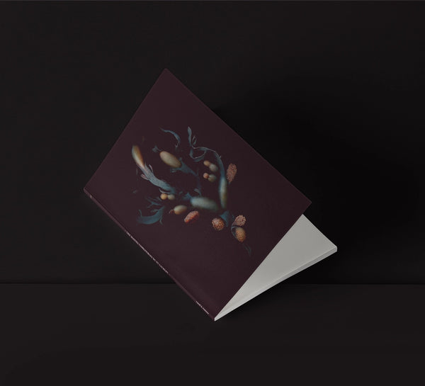 Mini-carnet / goémon