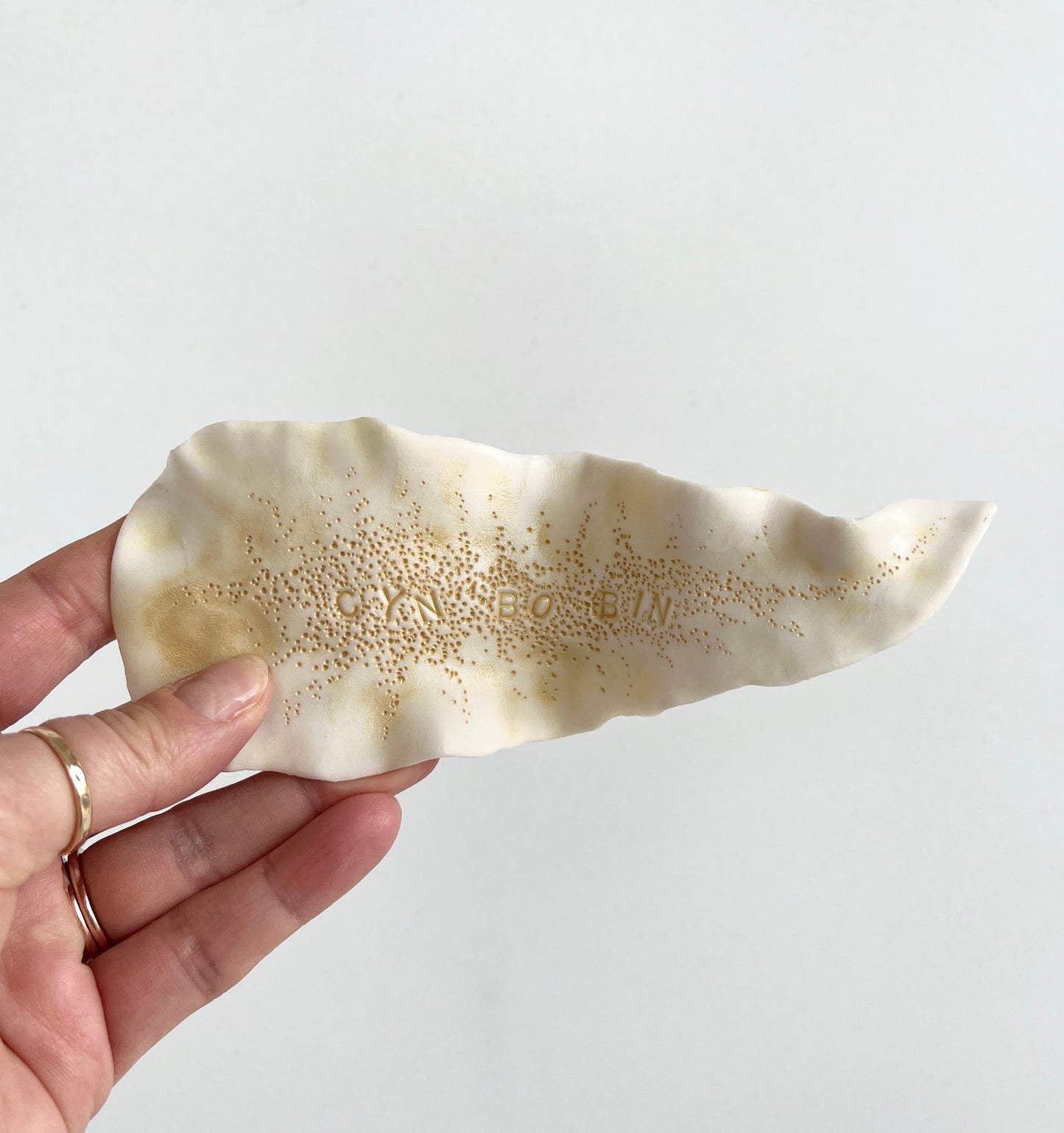 Cynthia O'Brien Slugs (Nudibranchs)