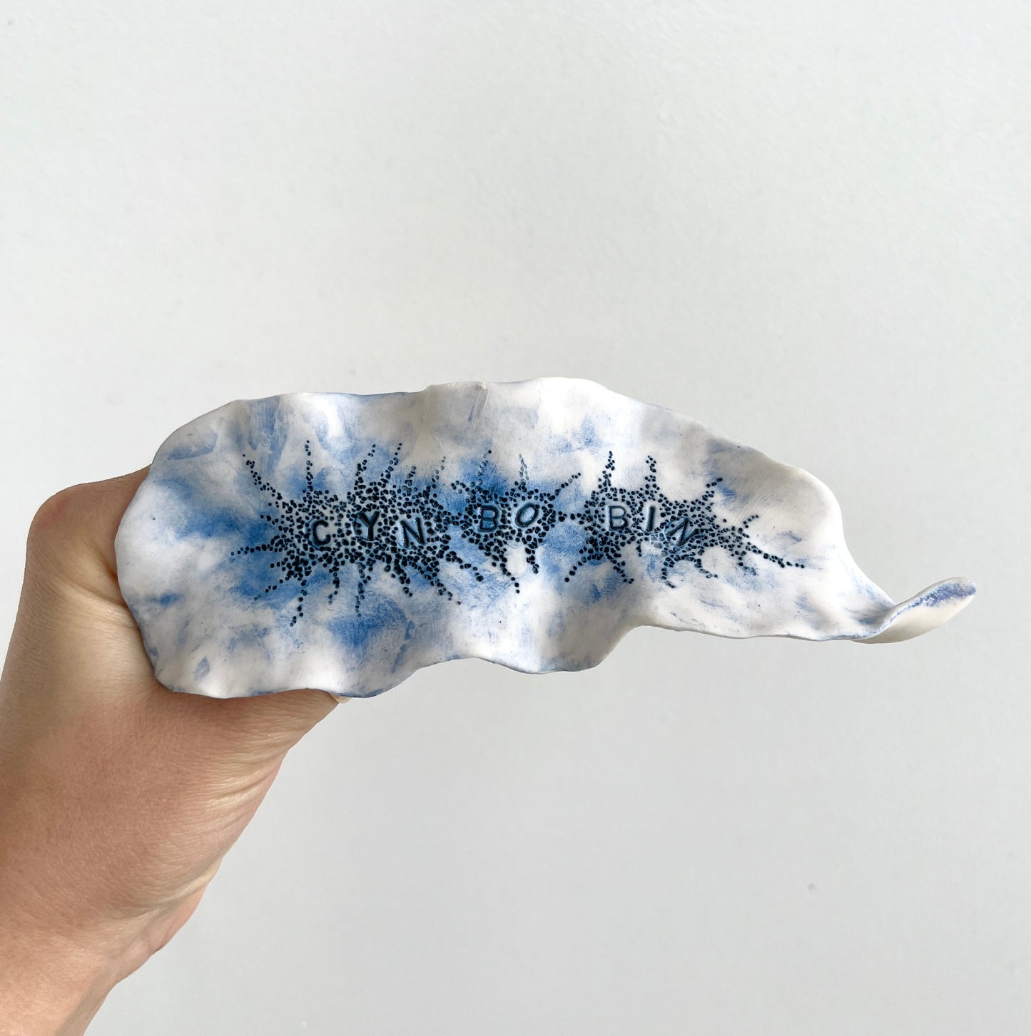 Cynthia O'Brien Slugs (Nudibranchs)