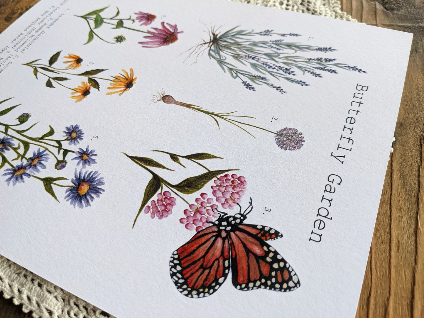 Butterfly Garden Art Print