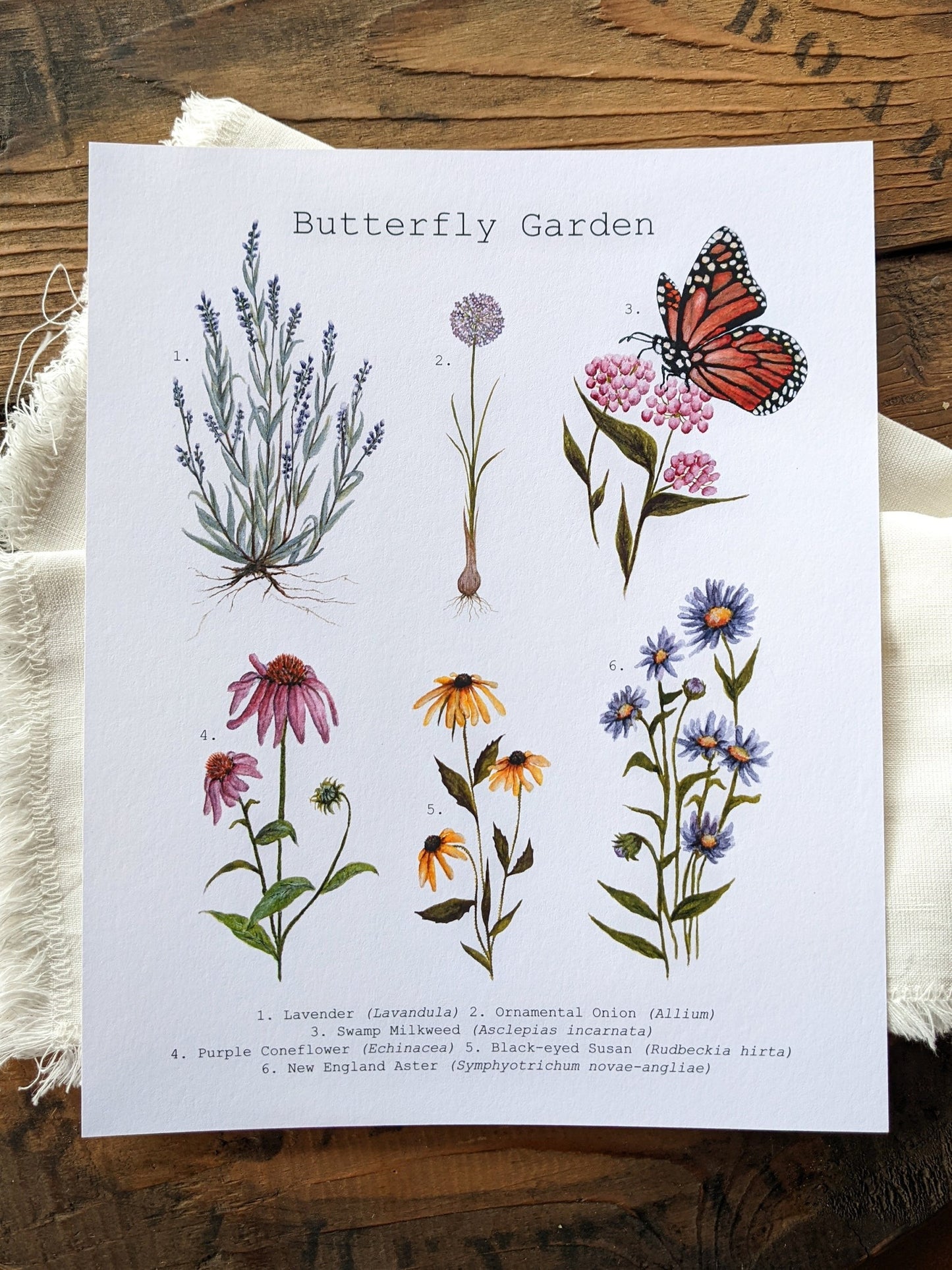 Butterfly Garden Art Print