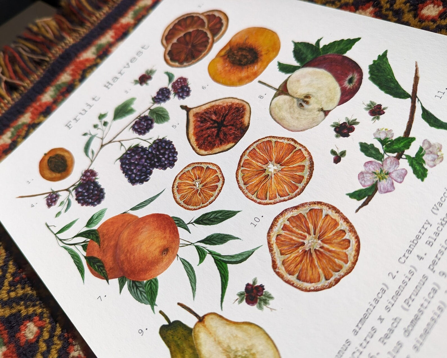 Fruit Harvest Art Print