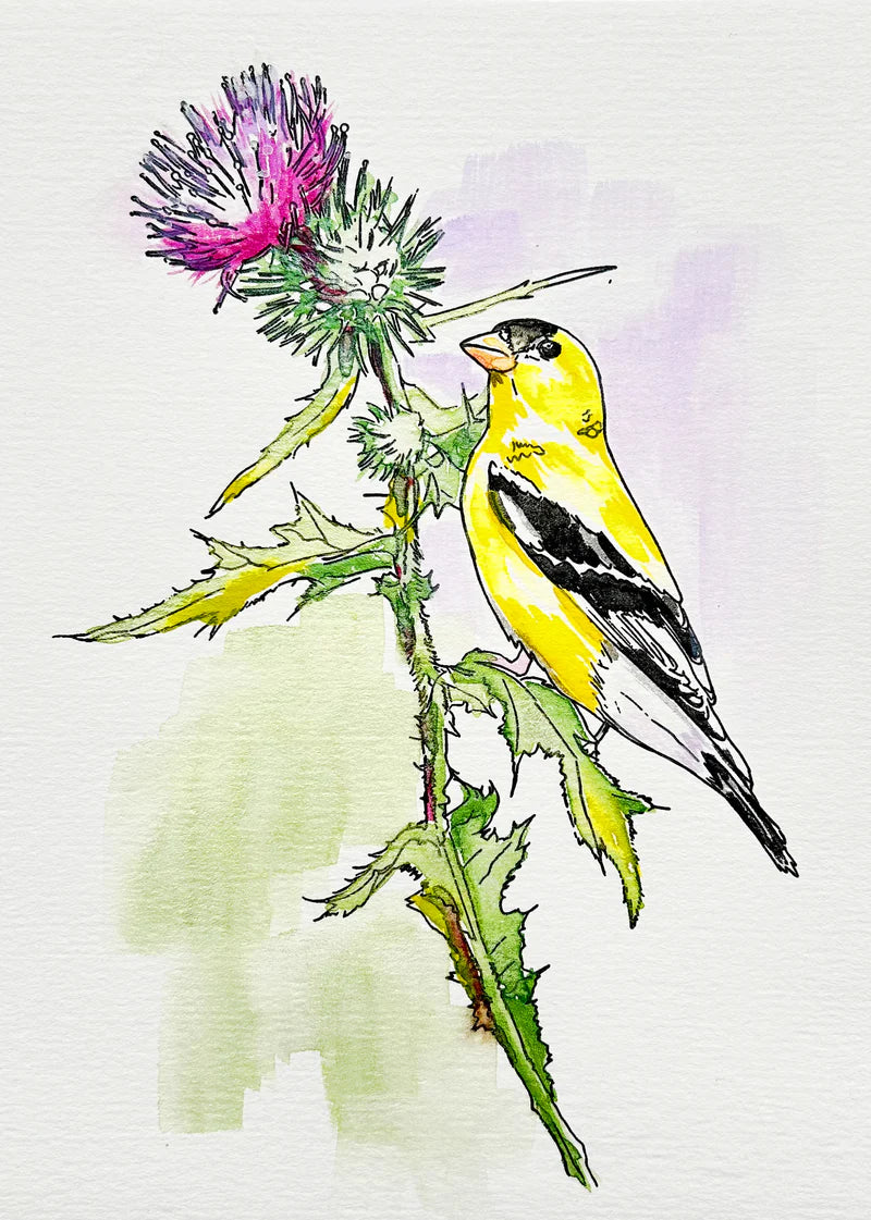 Beam Paints - Paintables