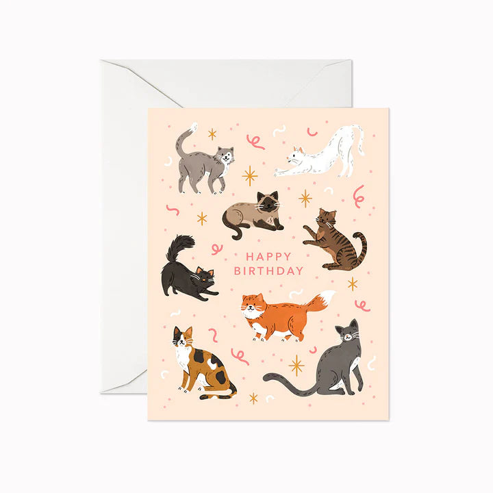 Carte d'anniversaire | chat