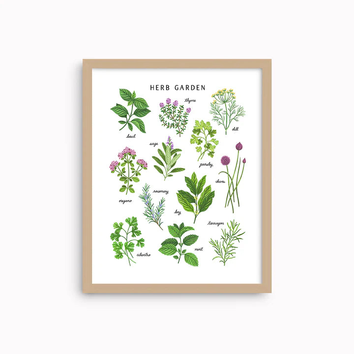 Herb Garden Light | Art Print