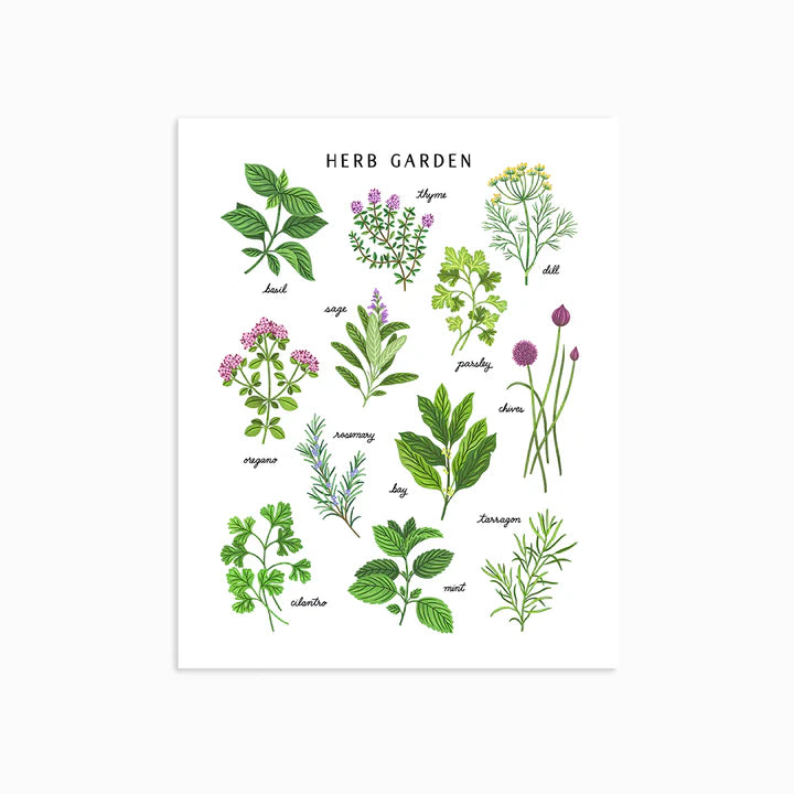 Herb Garden Light | Art Print