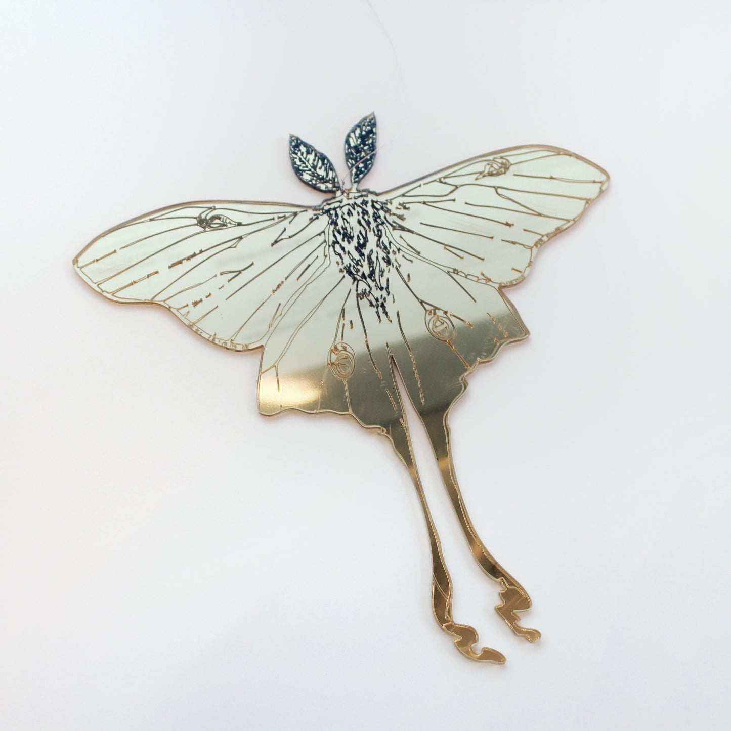 Jennifer Macklem | Flightpaths