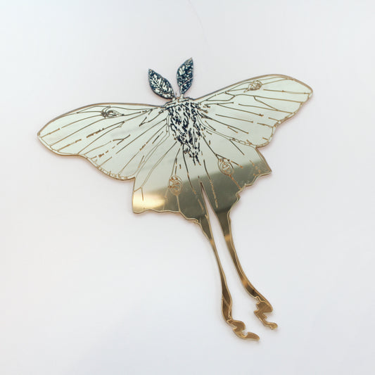 Jennifer Macklem | Flightpaths