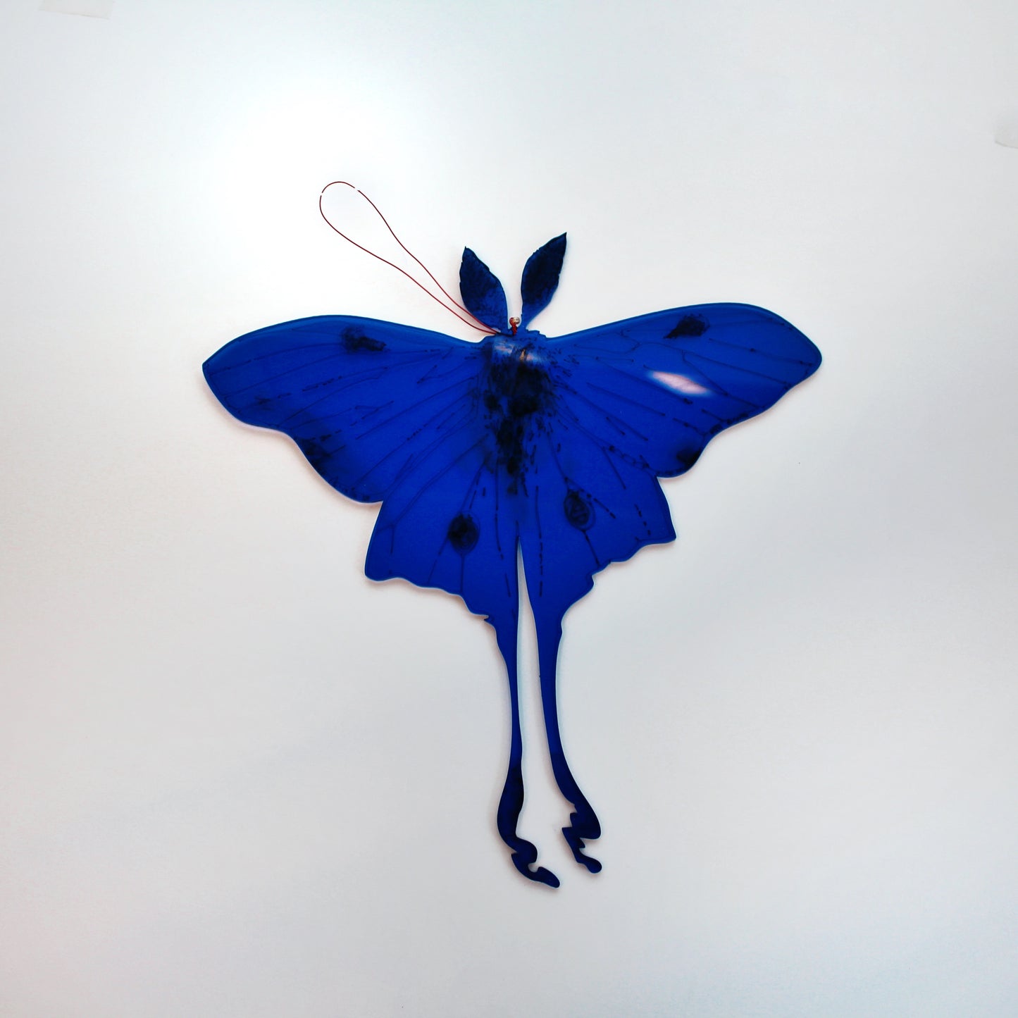 Jennifer Macklem | Trajectoires de vol 