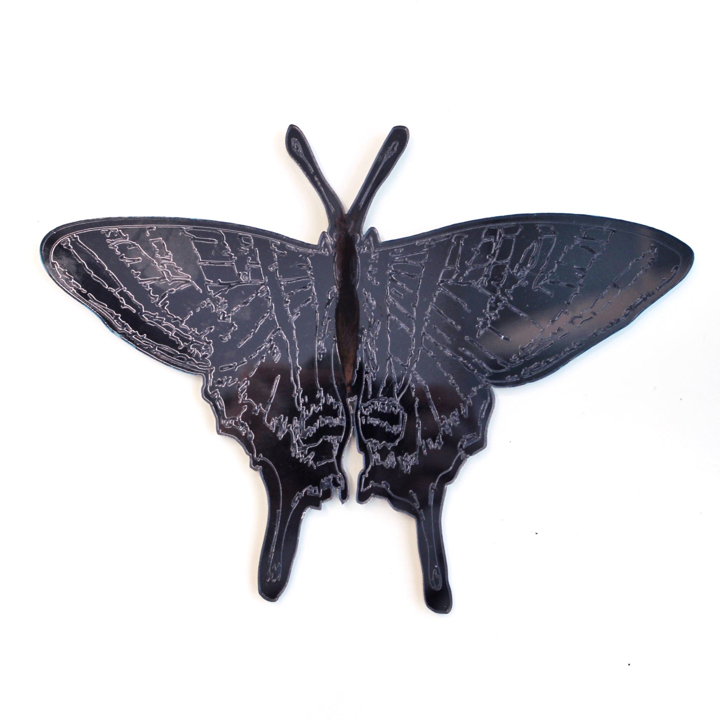 Jennifer Macklem | Trajectoires de vol  (aimant)