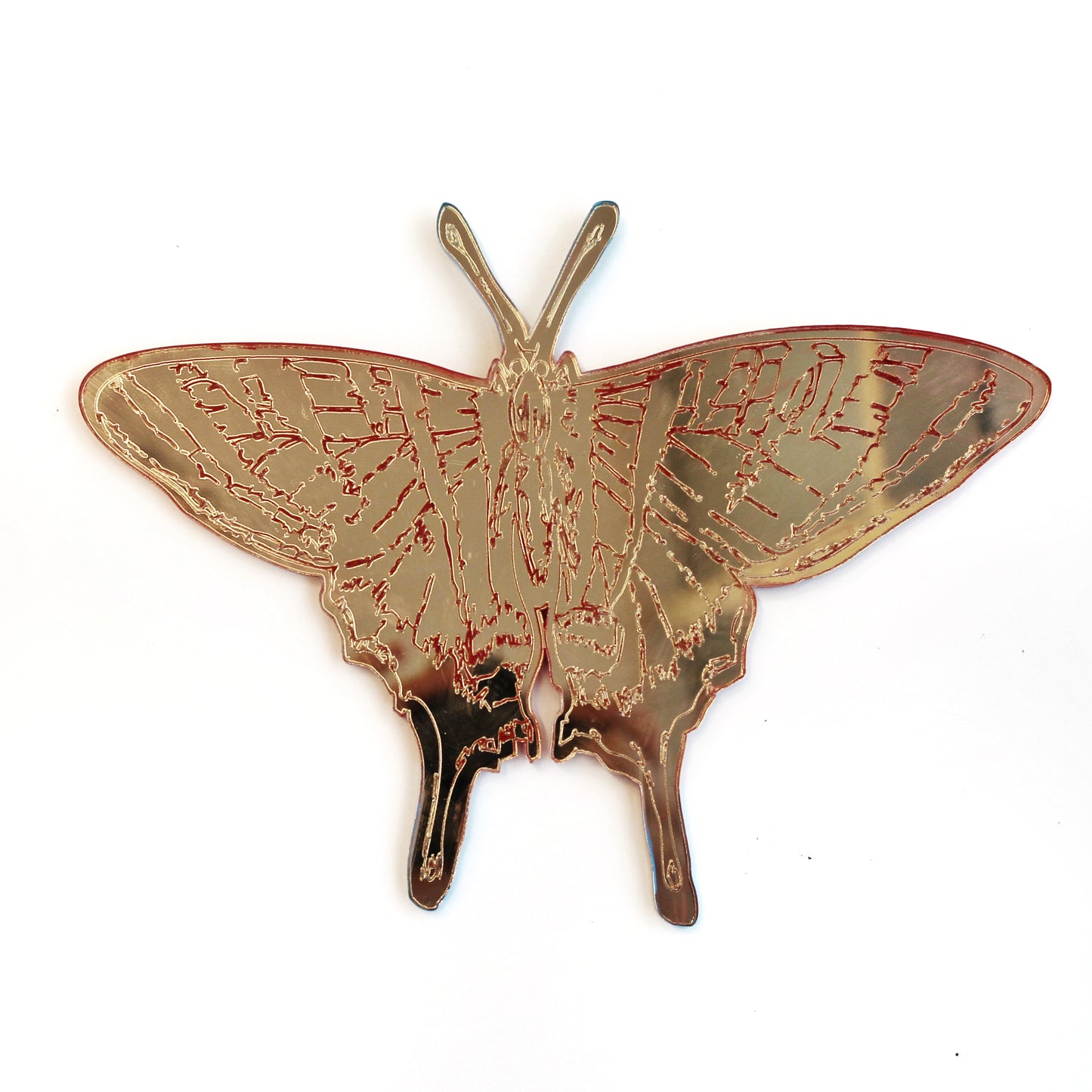 Jennifer Macklem | Trajectoires de vol  (aimant)