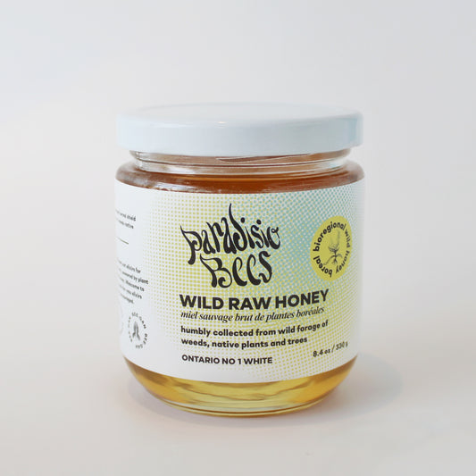 Wild Raw Honey