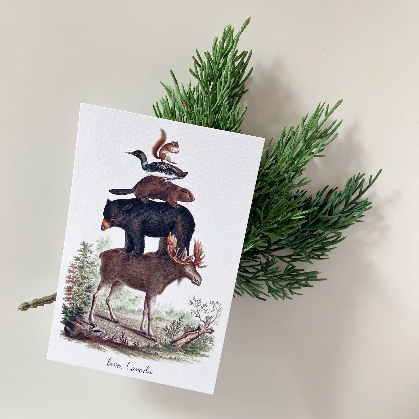 Team Canada Postcard