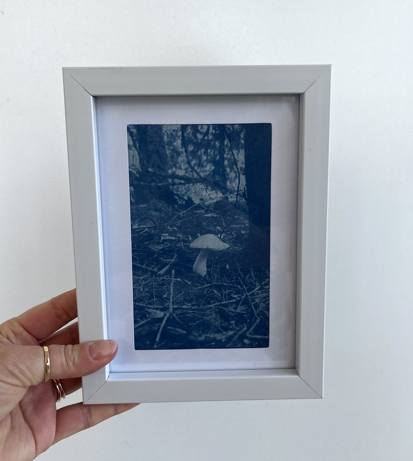 Cyanotype Framed prints