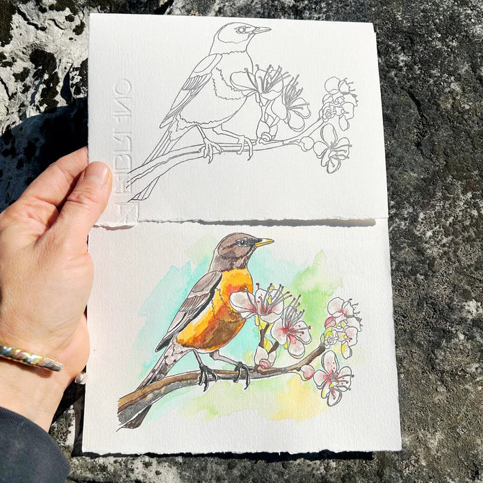 Beam Paints - Paintables