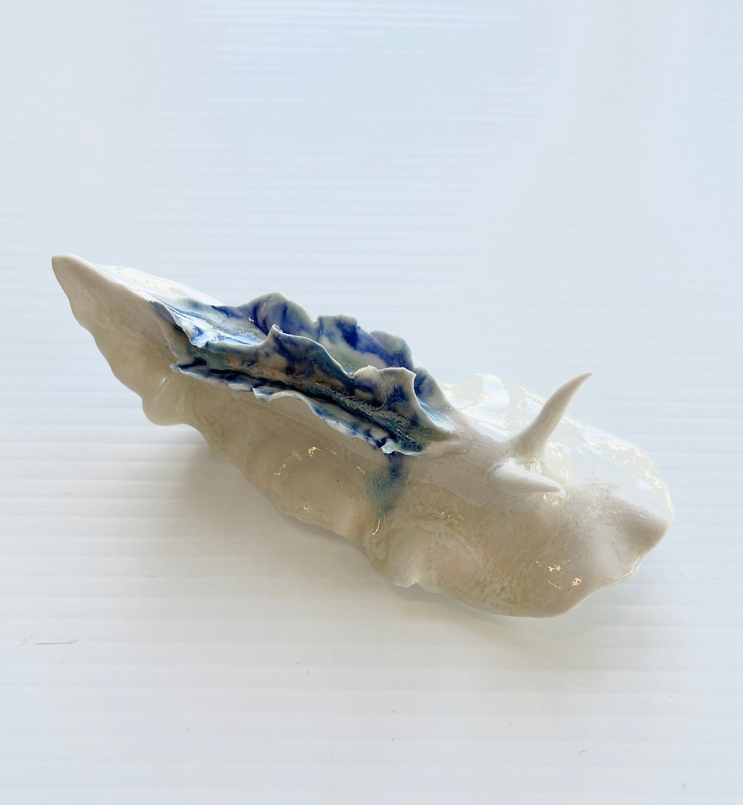 Cynthia O'Brien Slugs (Nudibranchs)