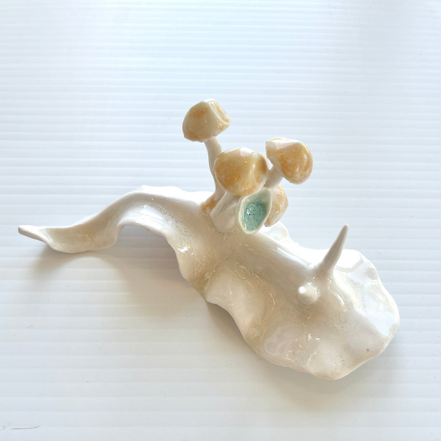 Cynthia O'Brien Slugs (Nudibranchs)