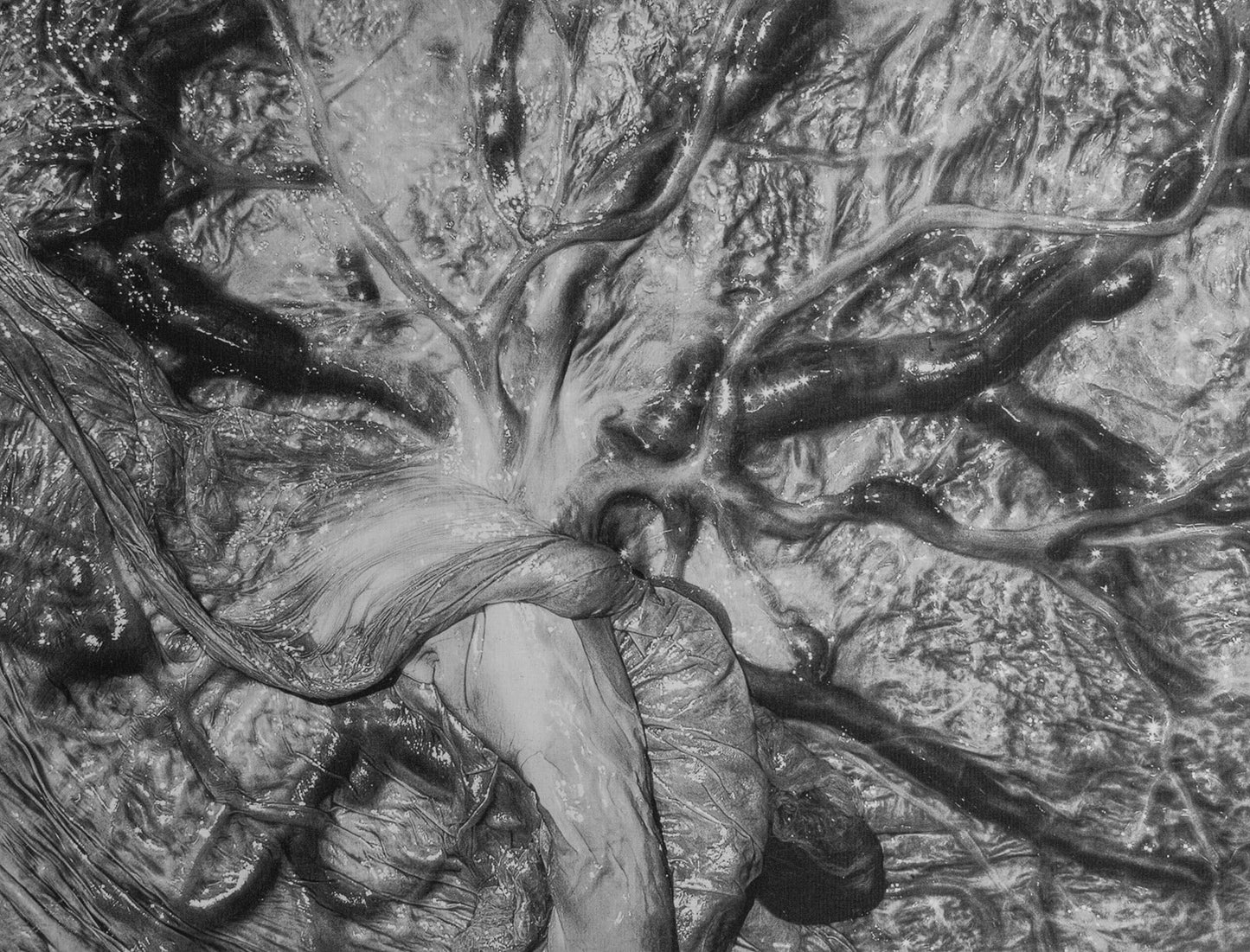 "Viscera by Alexa Mazzarello"