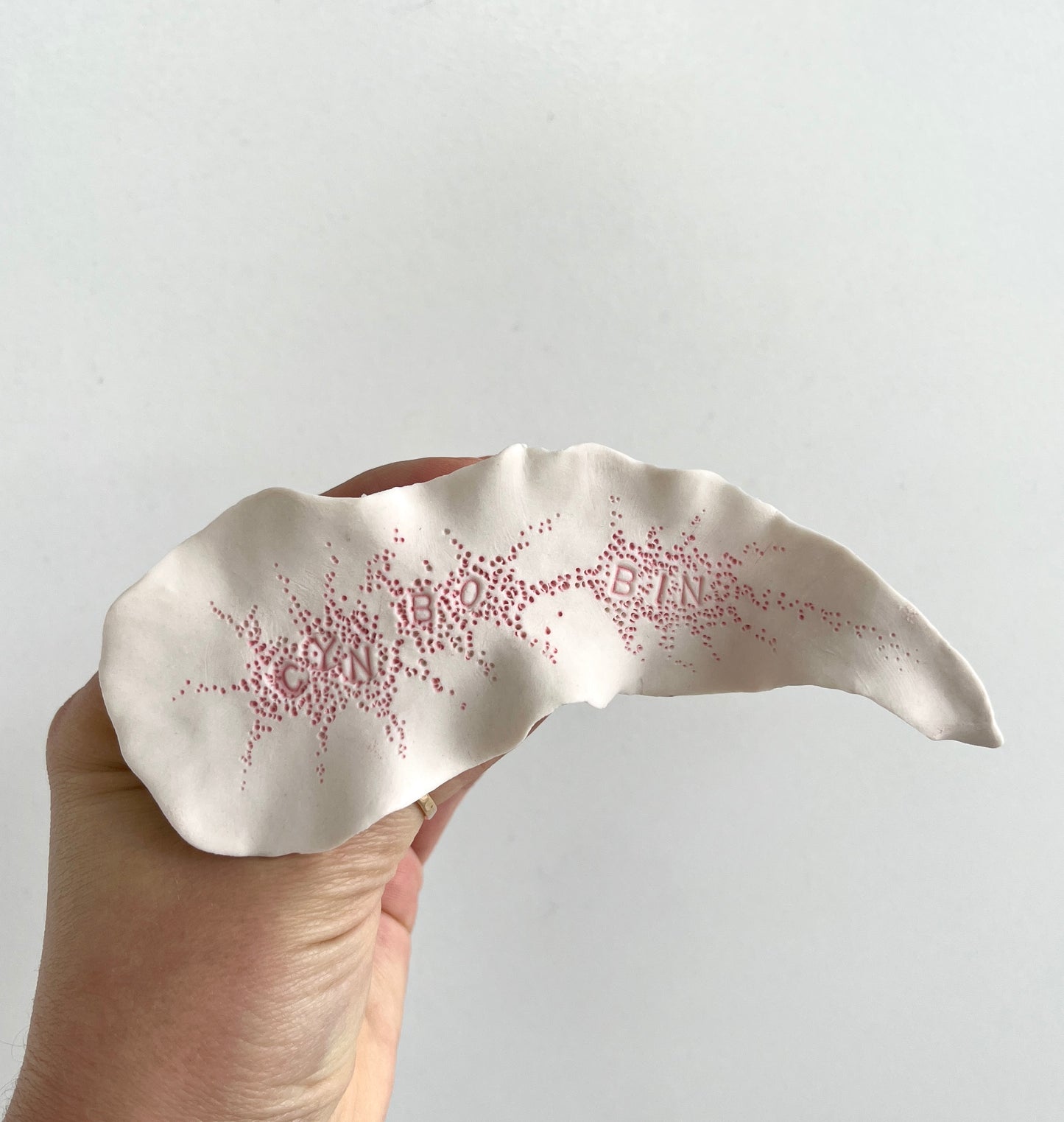 Cynthia O'Brien Slugs (Nudibranchs)