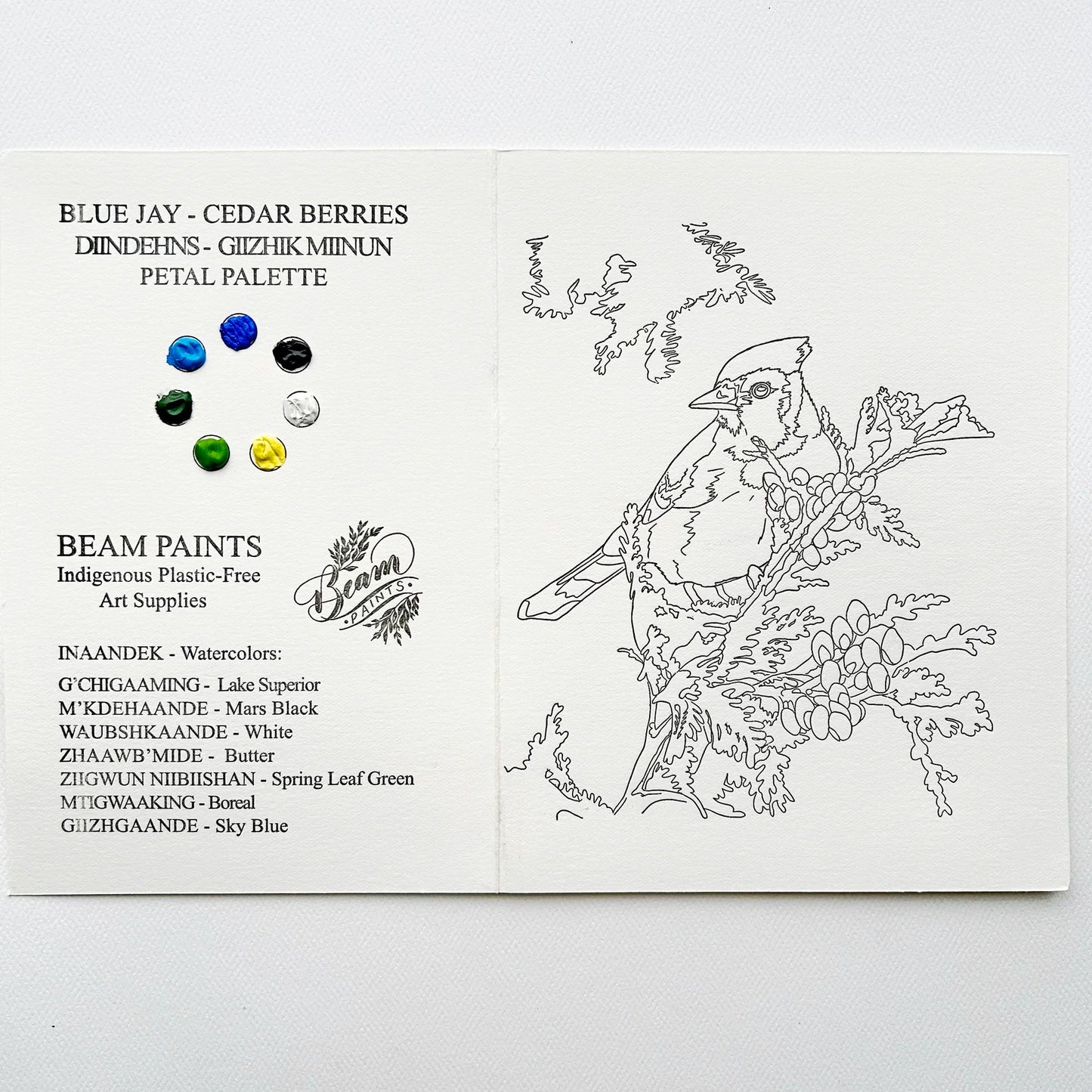 Beam Paints - Paintables