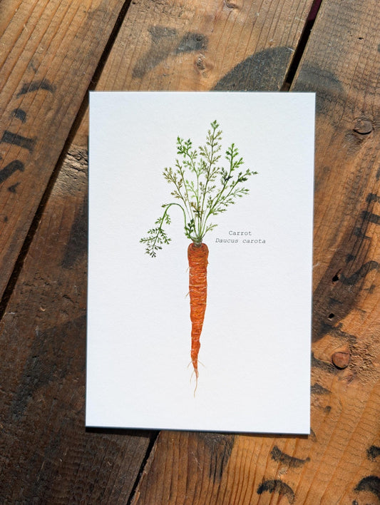 Carrot Art Print