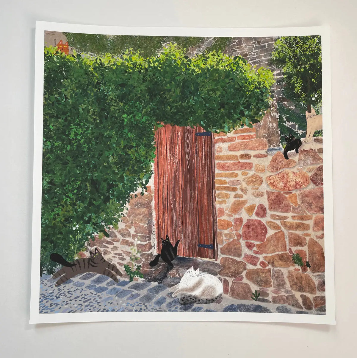 Cats at a Door in Spain - Art Print