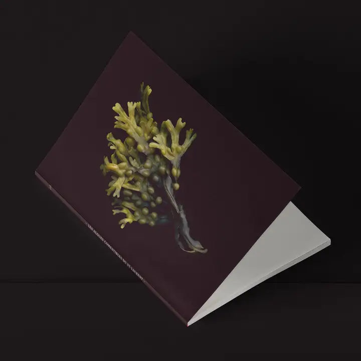 Mini-Notebook / Fucus