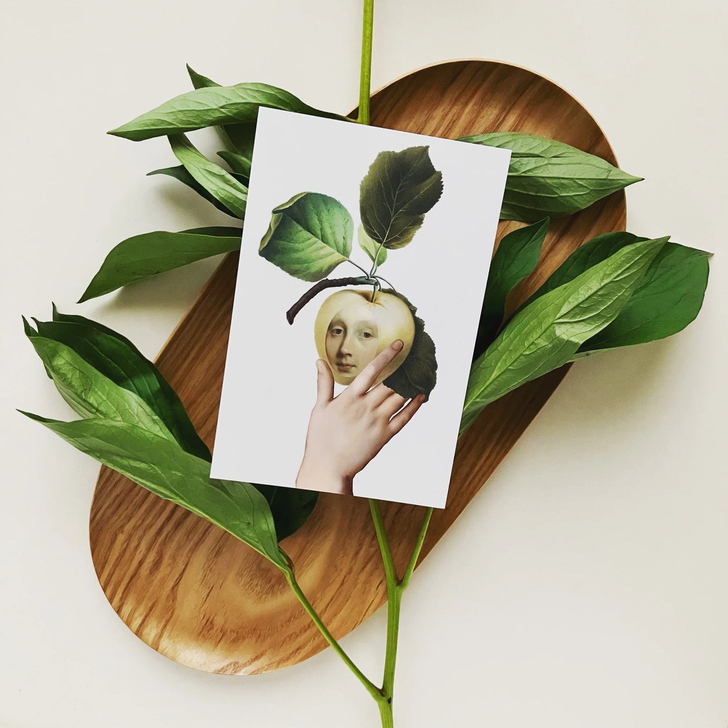 Ghost Apple Postcard