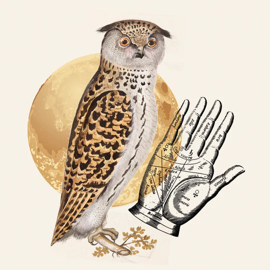 Hand of Fate Postcard