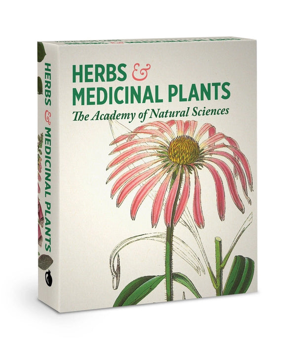 Herbs & Medicinal Plants Knowledge Cards