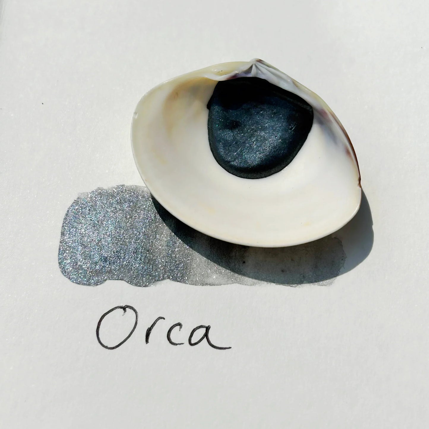 Beam Paints - Shell Paints