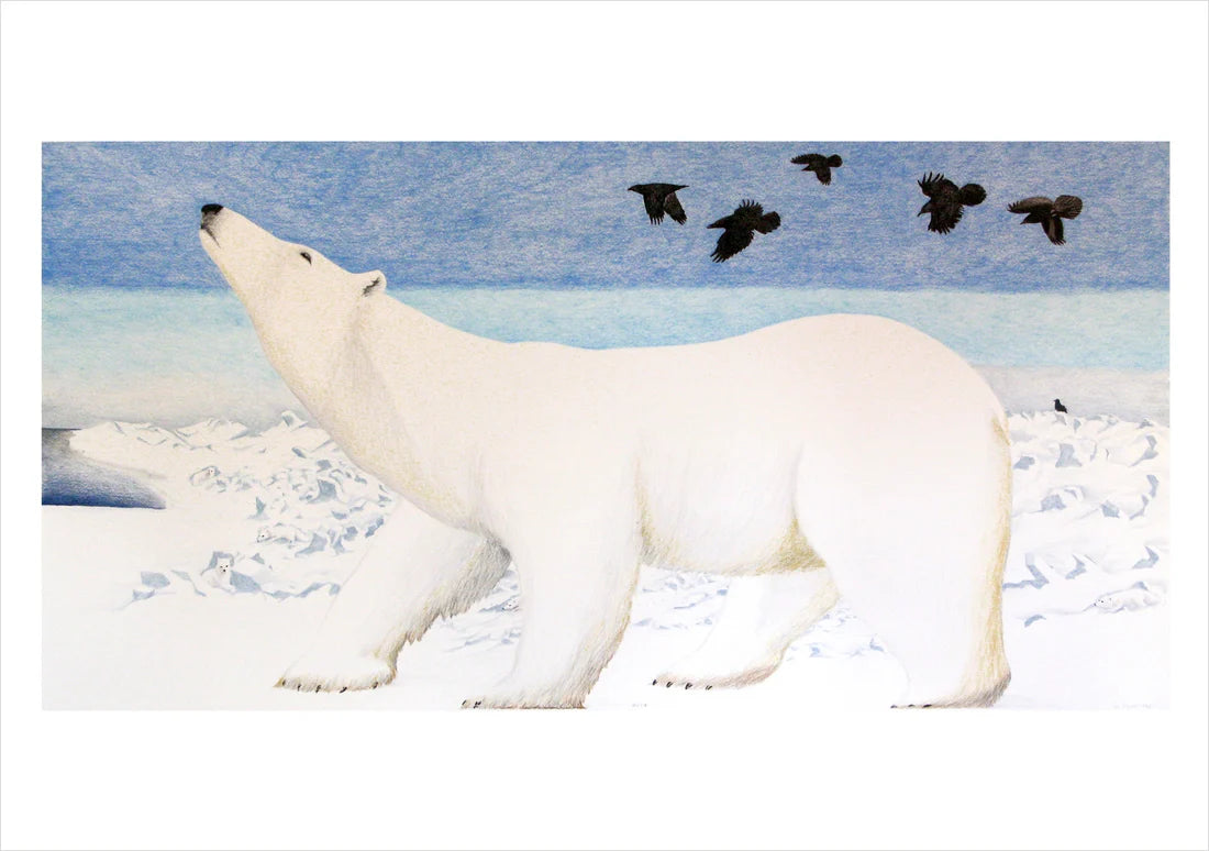 Tim Pitsiulak: Untitled (Polar Bear) - Blank Card