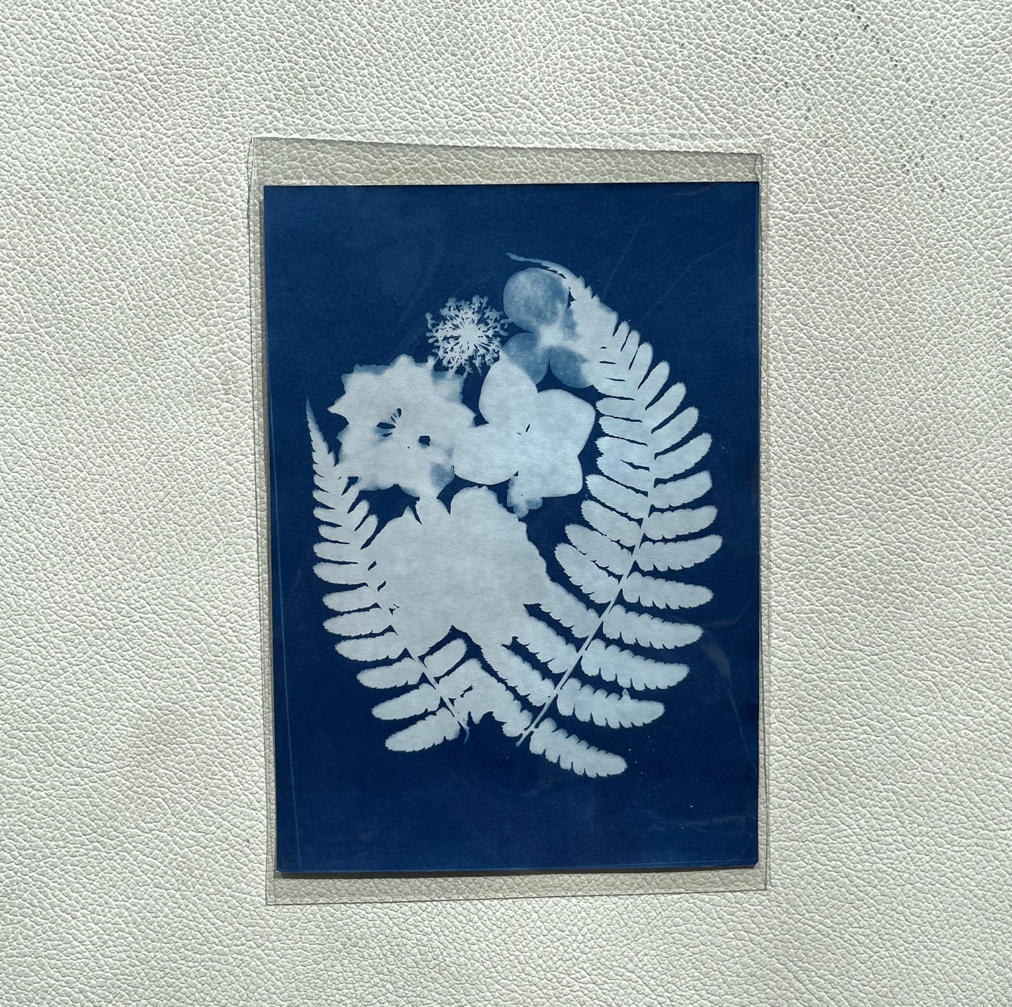 Cyanotype Prints