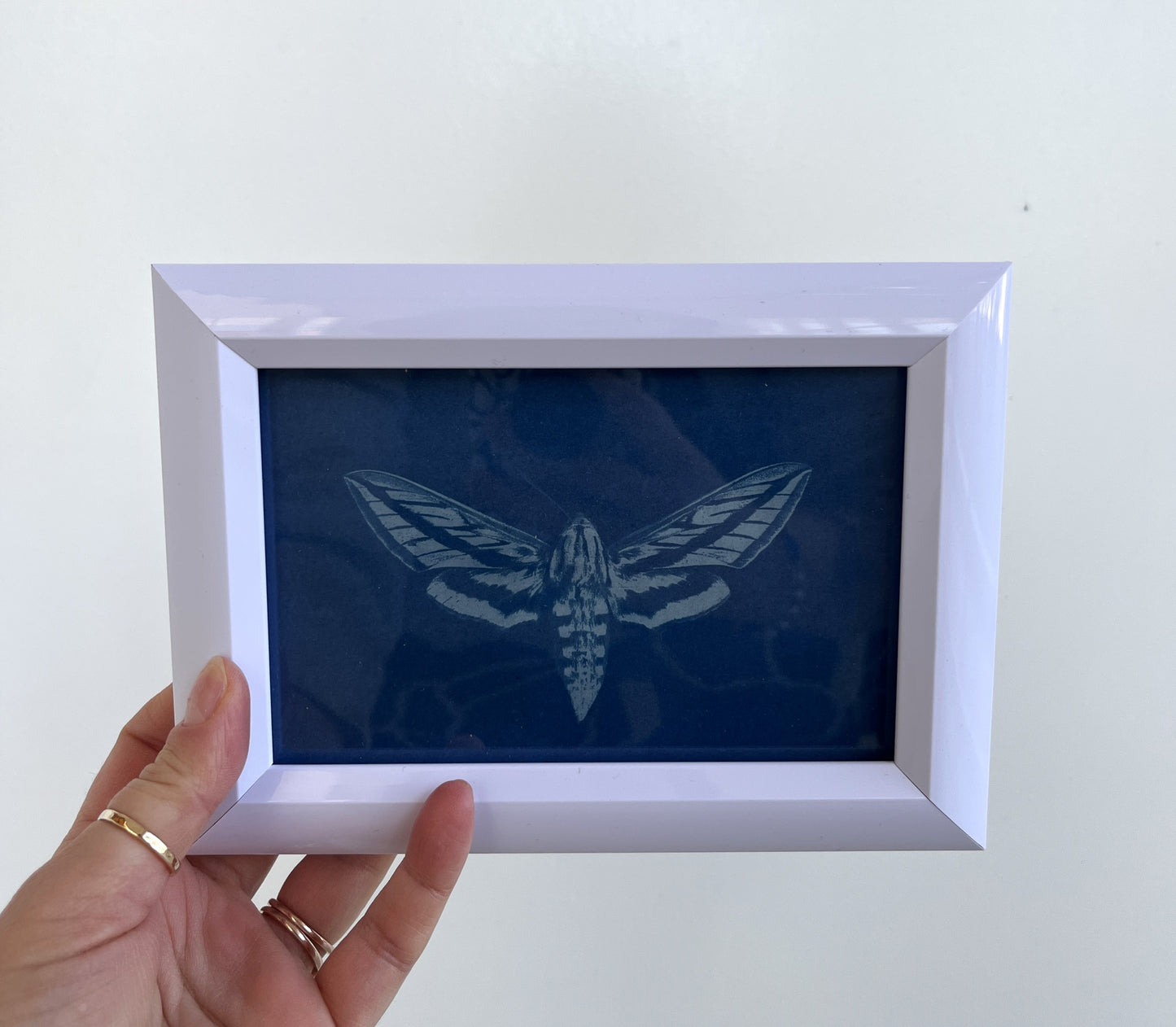 Cyanotype Framed prints