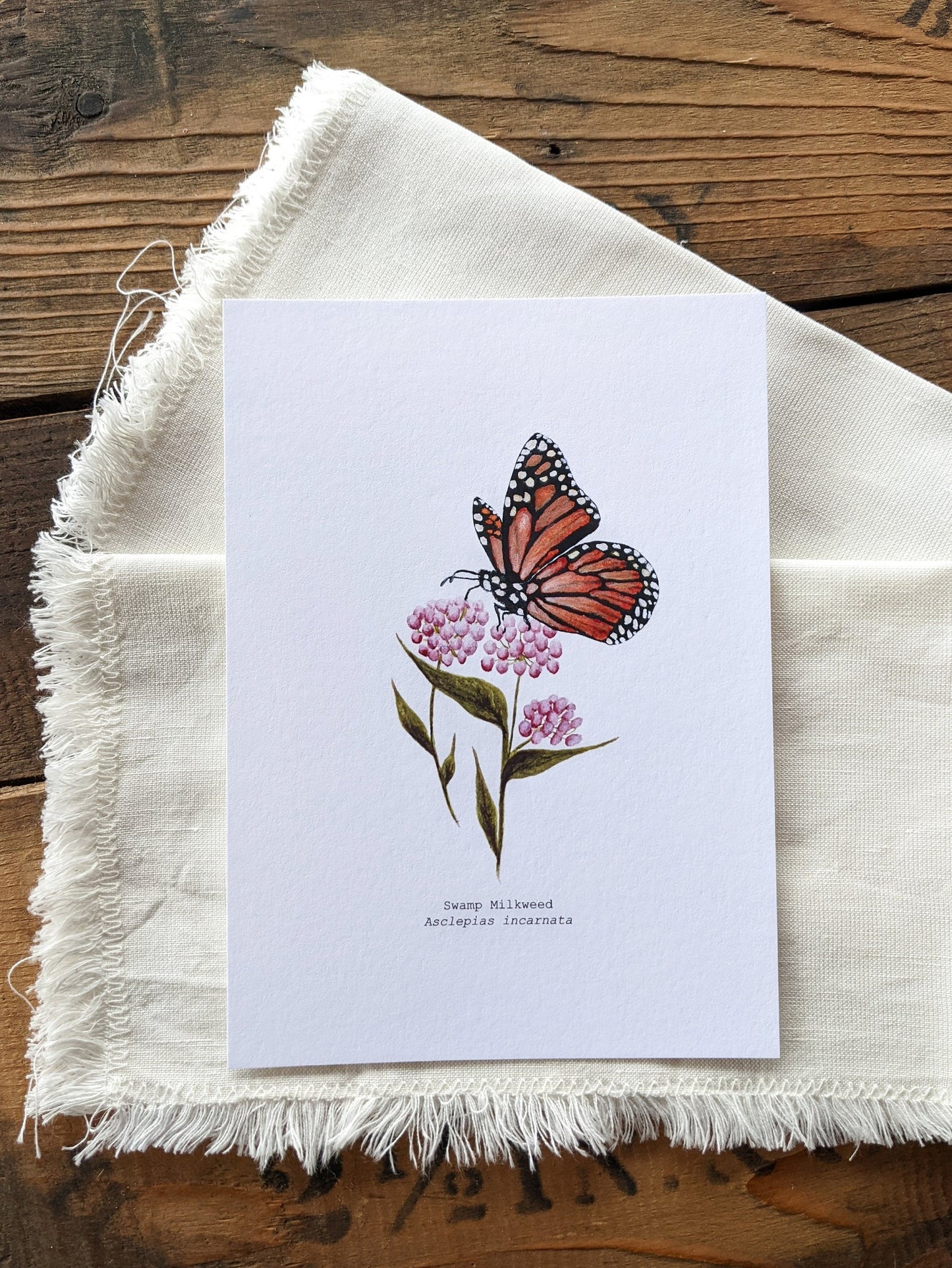 Swamp Milkweed Art Print