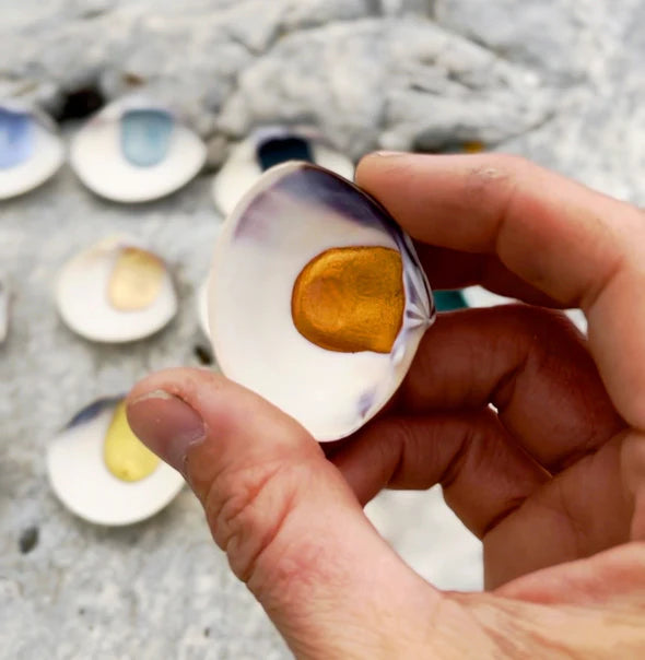 Beam Paints - Shell Paints