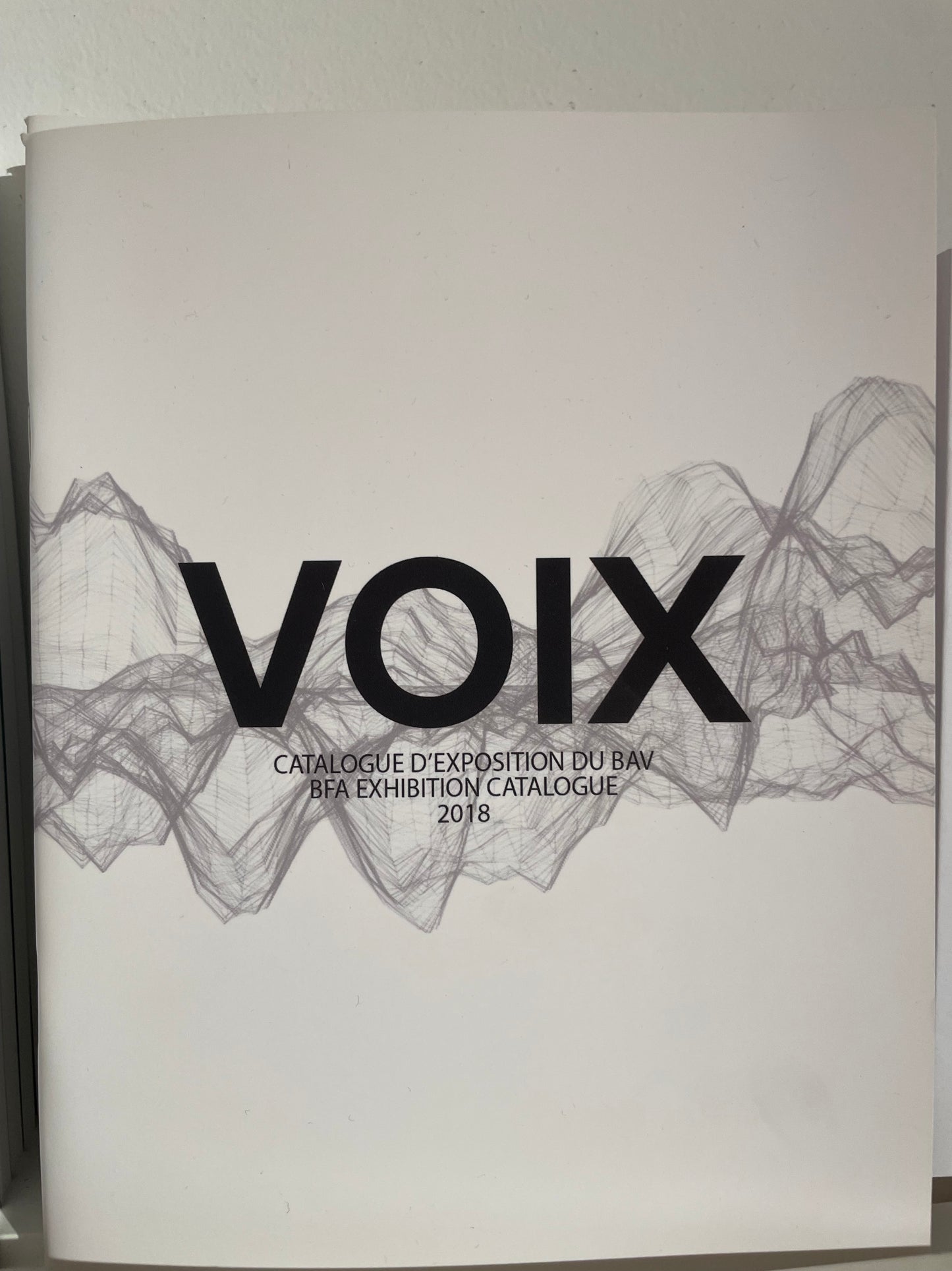 VOIX: 2018 university of Ottawa Fine Arts Graduates