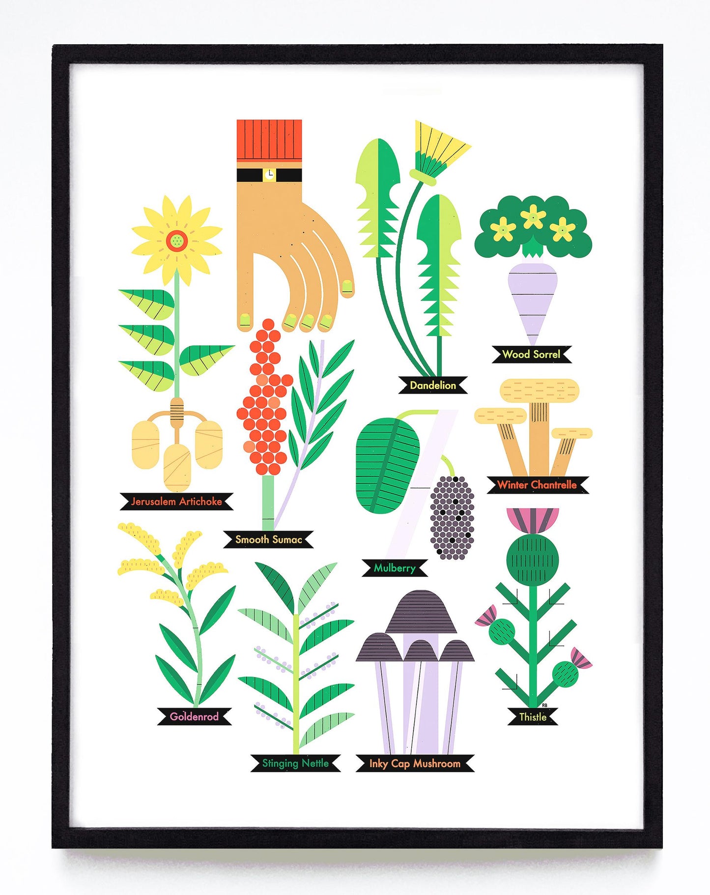 Forageable Plants - Art Print